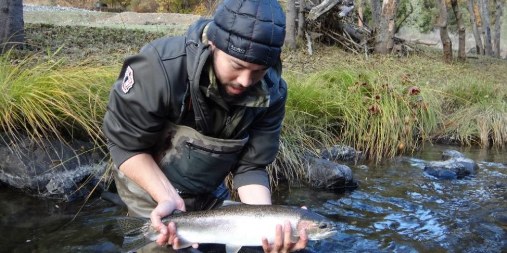 64582_492558517443000_1454460107_n[1]